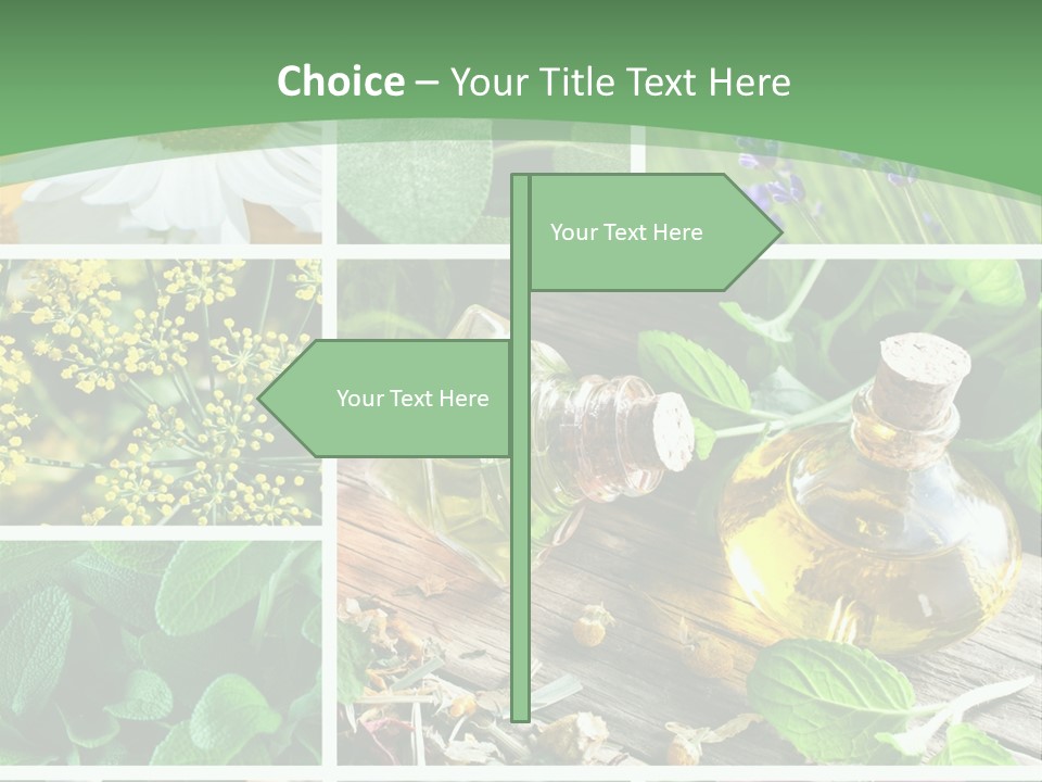 Fennel Alternative Health PowerPoint Template