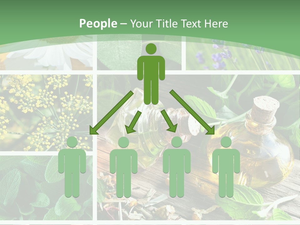 Fennel Alternative Health PowerPoint Template