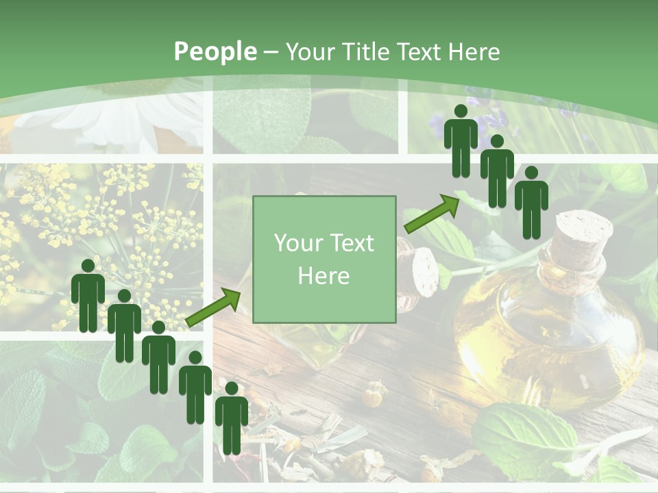 Fennel Alternative Health PowerPoint Template