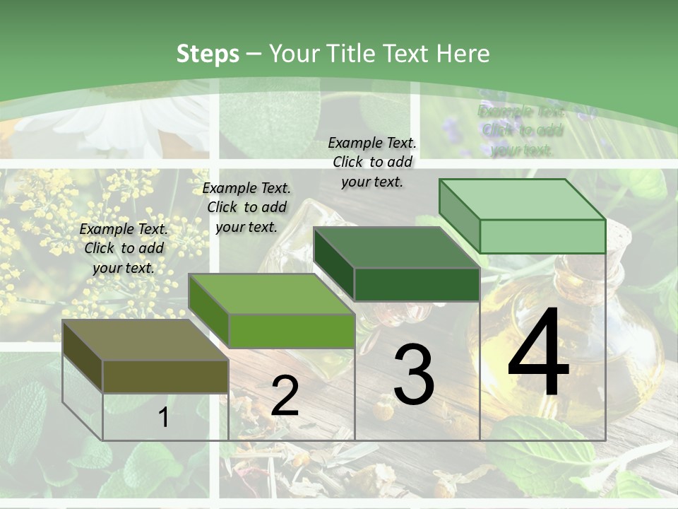 Fennel Alternative Health PowerPoint Template