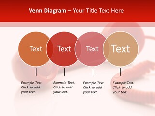 A Red Telephone On A White Surface With A Red Cord PowerPoint Template