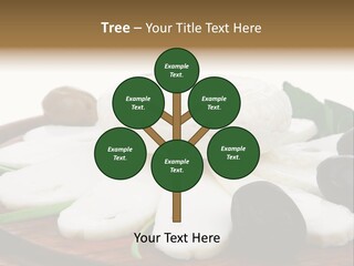 Isolated Food Product PowerPoint Template