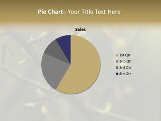 Sapling Garden Small PowerPoint Template