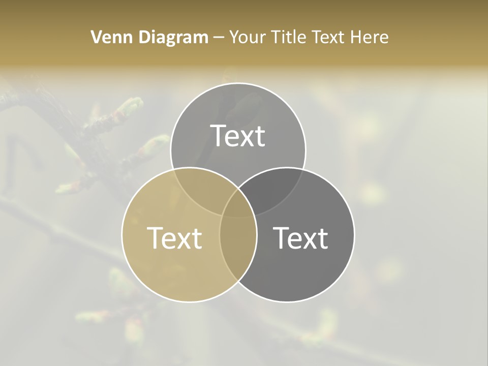 Sapling Garden Small PowerPoint Template
