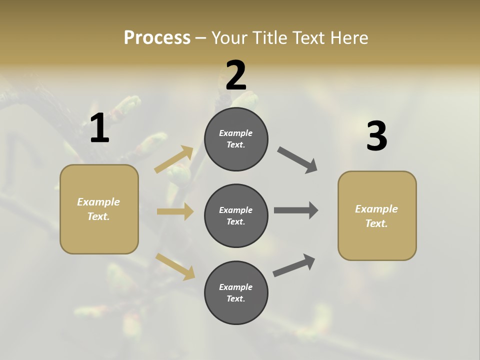 Sapling Garden Small PowerPoint Template