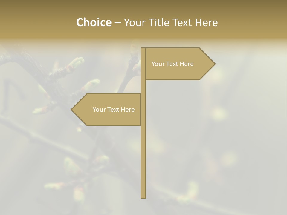 Sapling Garden Small PowerPoint Template