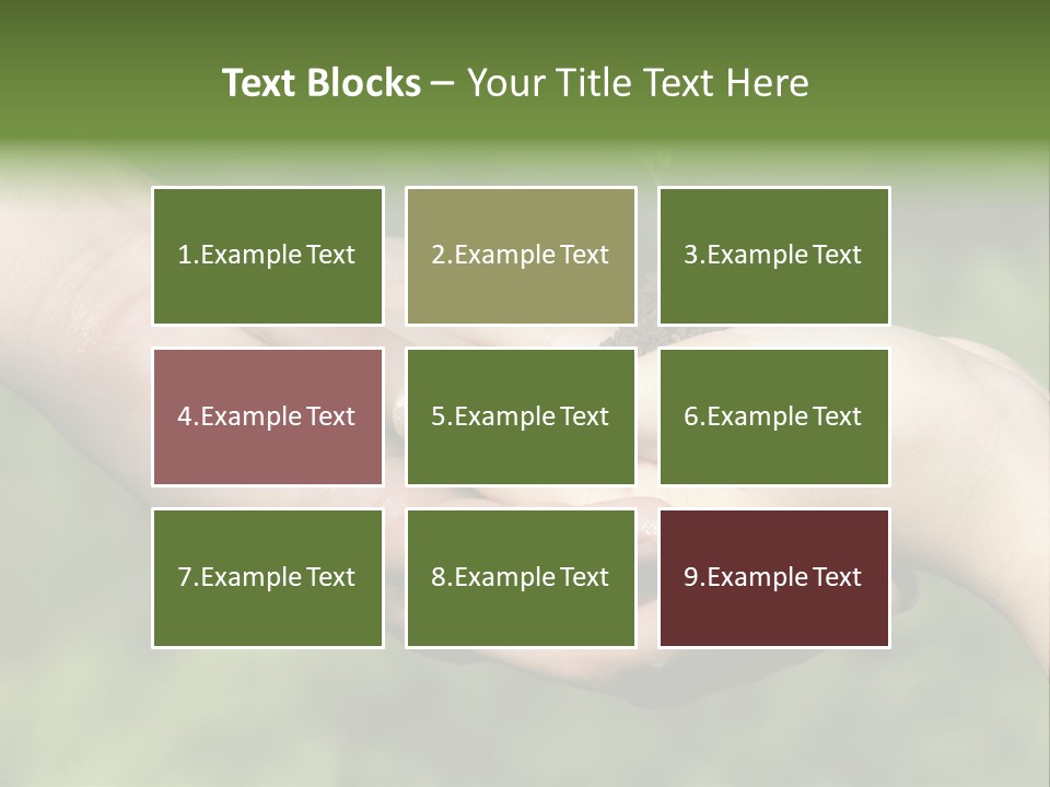 Front View Dark Photography PowerPoint Template