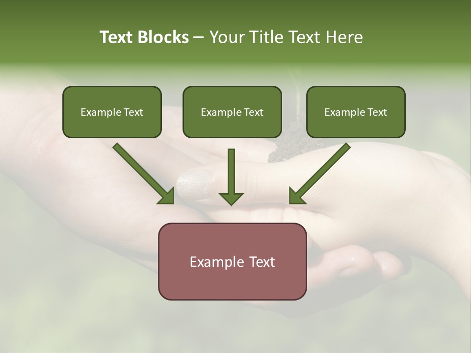 Front View Dark Photography PowerPoint Template