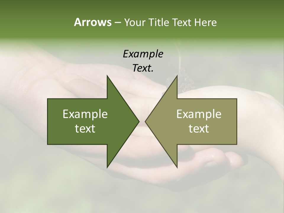 Front View Dark Photography PowerPoint Template