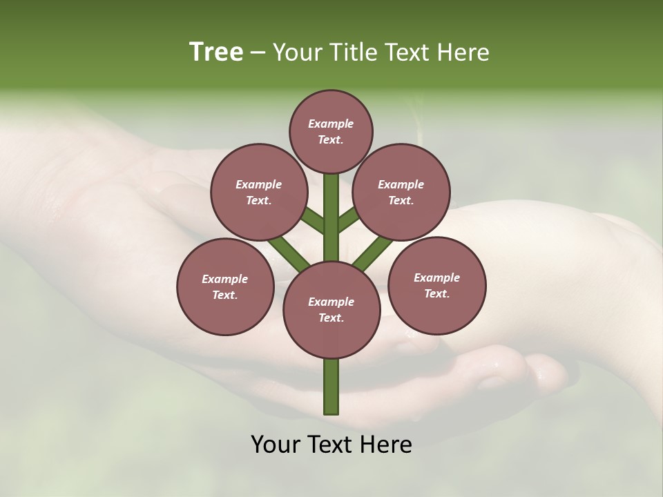 Front View Dark Photography PowerPoint Template