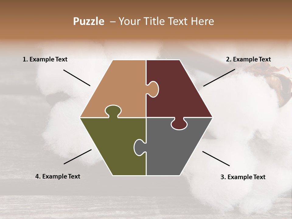 White Raw Twig PowerPoint Template