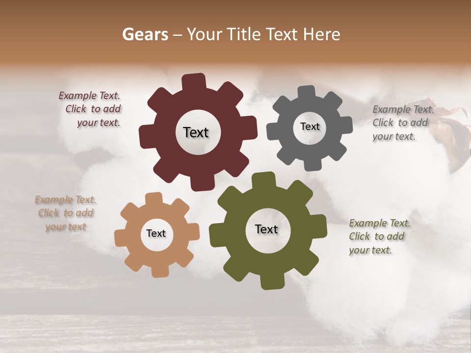 White Raw Twig PowerPoint Template