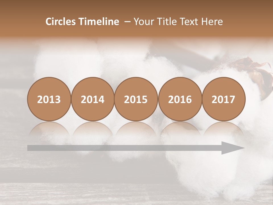 White Raw Twig PowerPoint Template