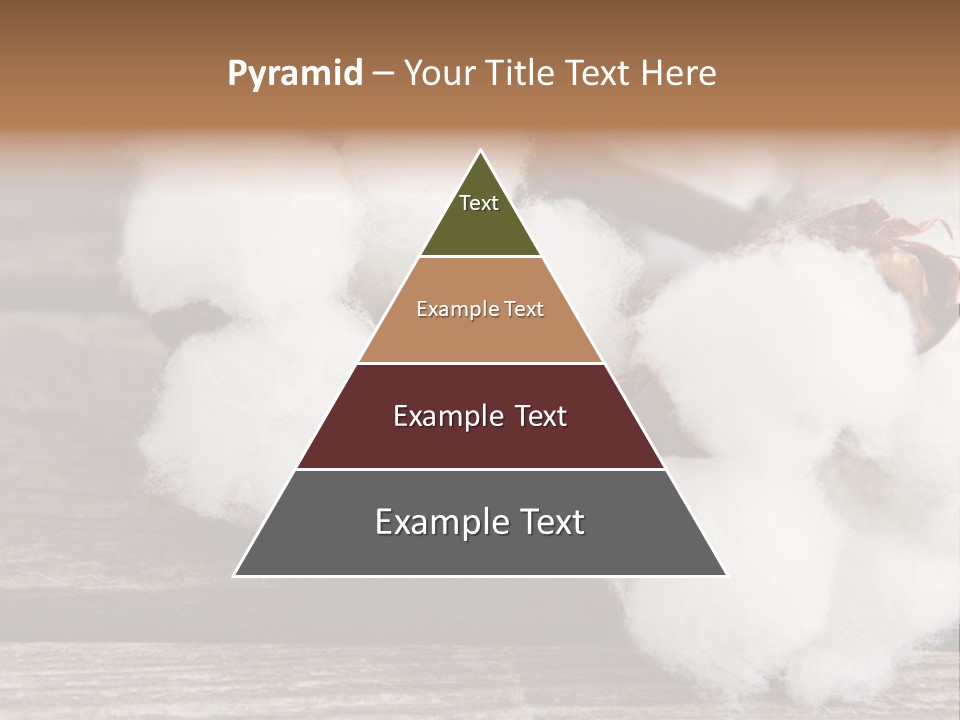 White Raw Twig PowerPoint Template