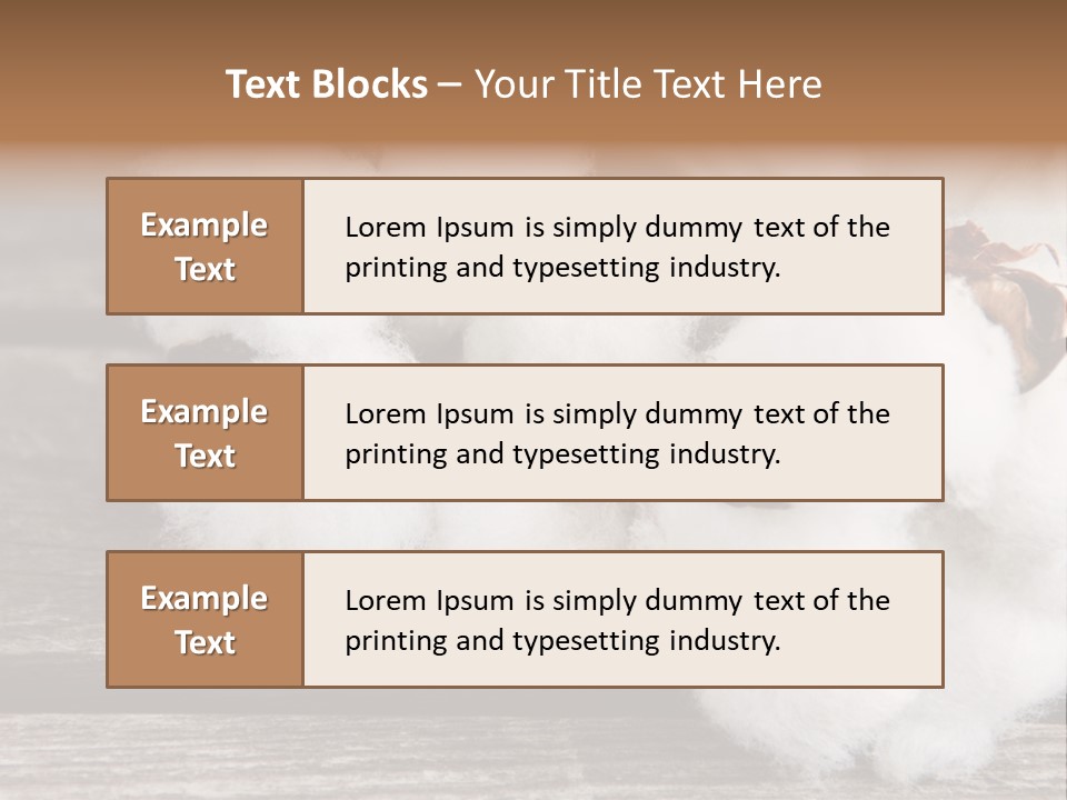 White Raw Twig PowerPoint Template