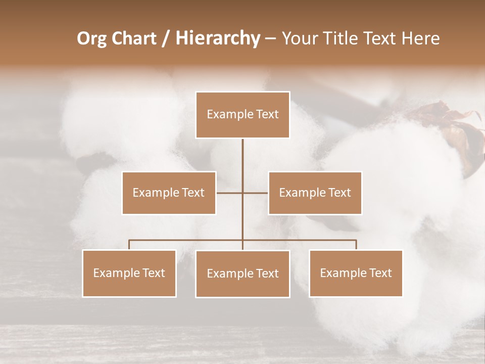 White Raw Twig PowerPoint Template