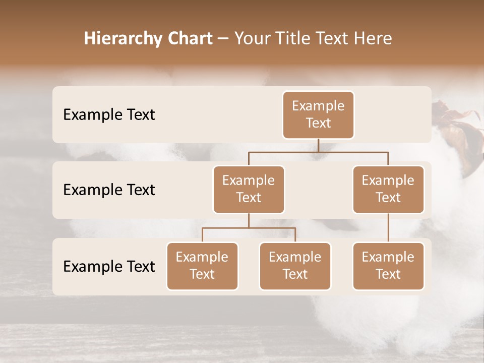 White Raw Twig PowerPoint Template