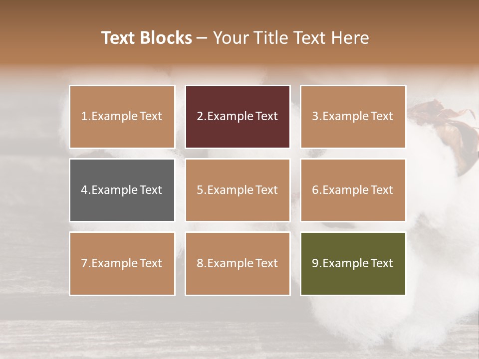 White Raw Twig PowerPoint Template