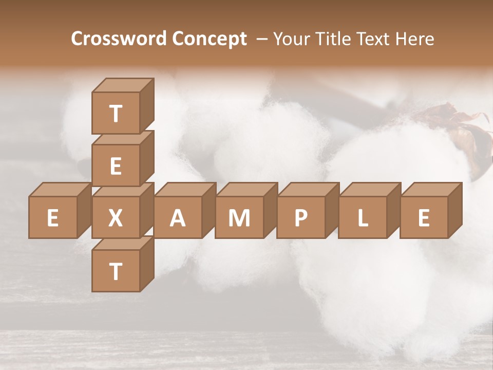 White Raw Twig PowerPoint Template