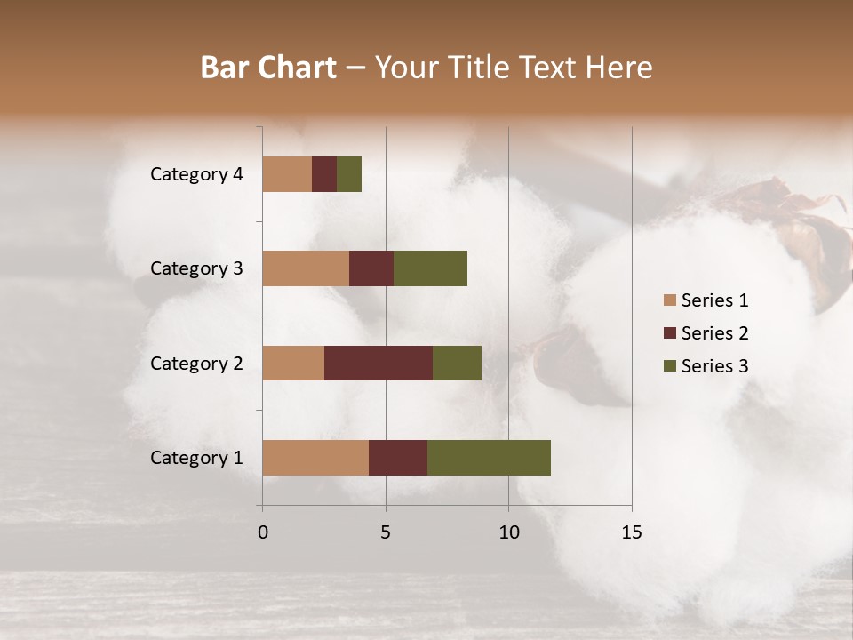 White Raw Twig PowerPoint Template