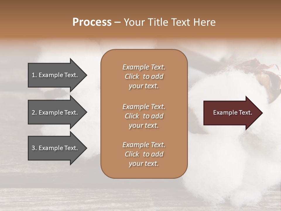 White Raw Twig PowerPoint Template