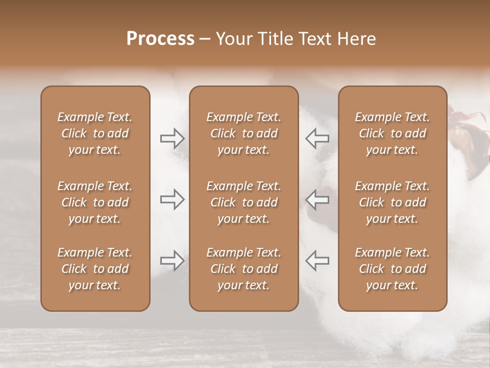 White Raw Twig PowerPoint Template