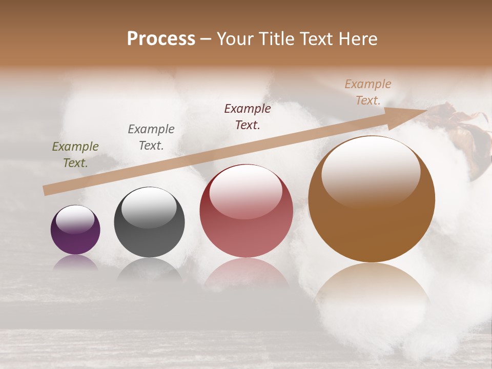 White Raw Twig PowerPoint Template