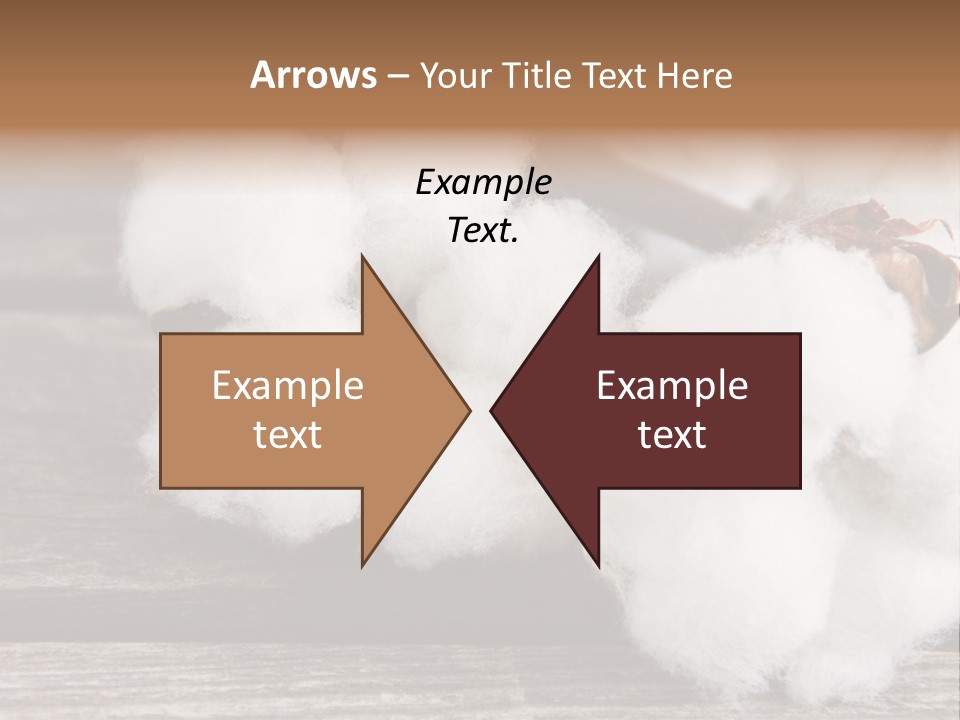 White Raw Twig PowerPoint Template