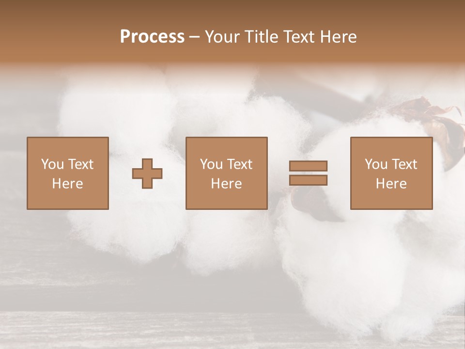 White Raw Twig PowerPoint Template