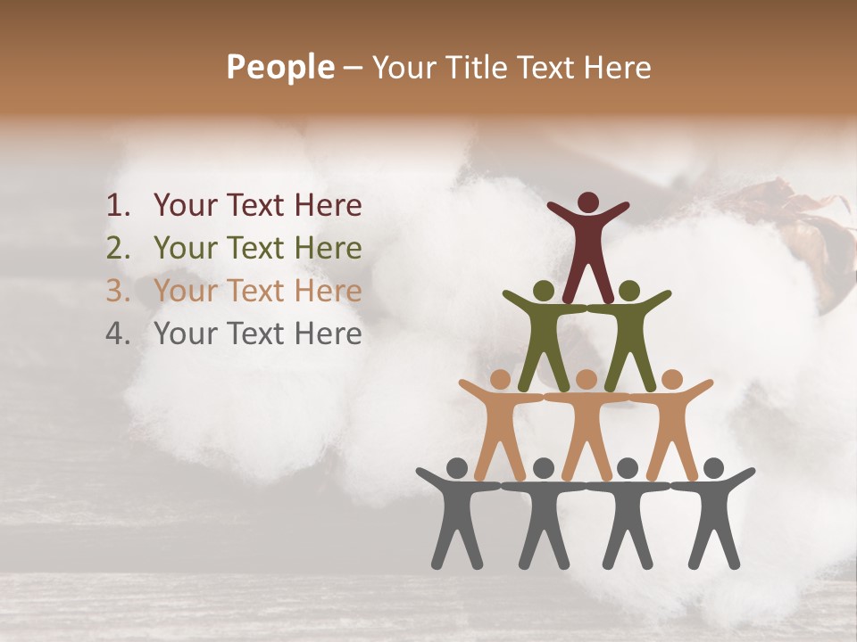 White Raw Twig PowerPoint Template