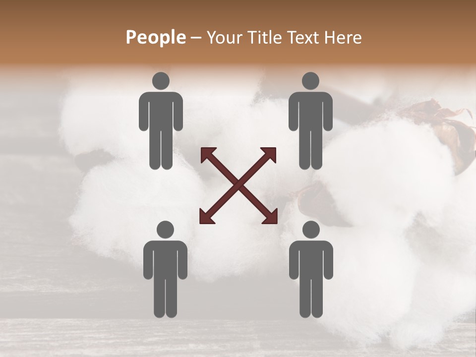 White Raw Twig PowerPoint Template