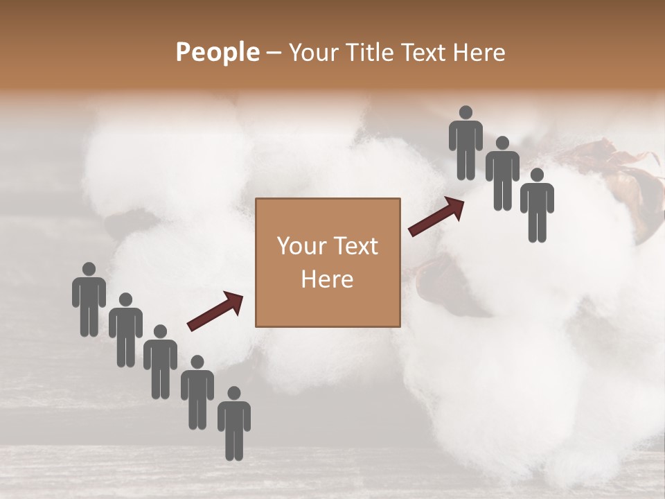 White Raw Twig PowerPoint Template