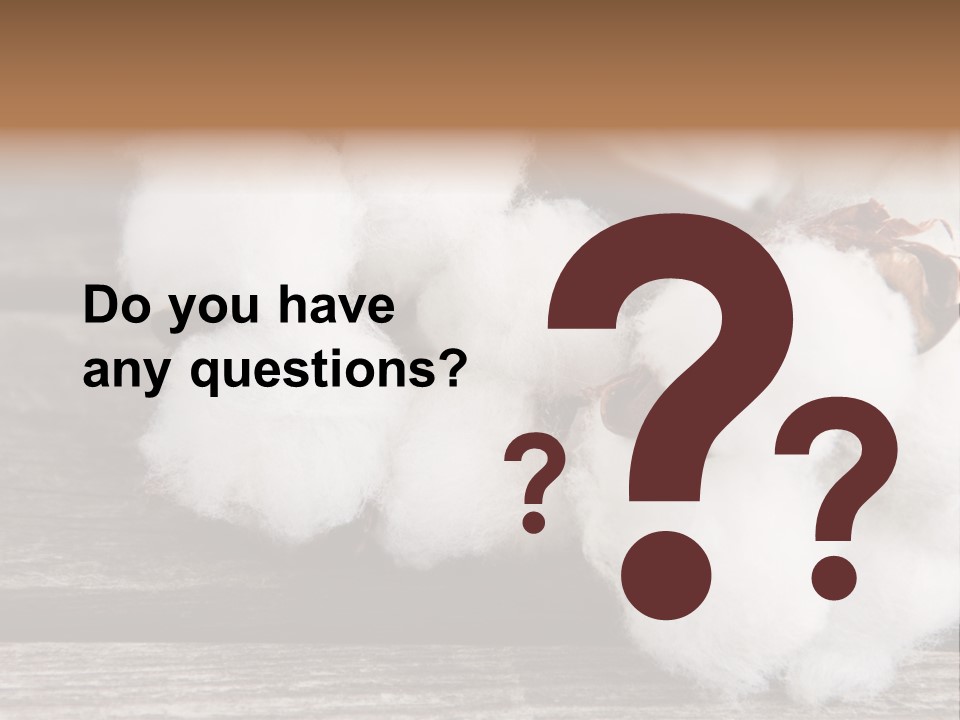 White Raw Twig PowerPoint Template