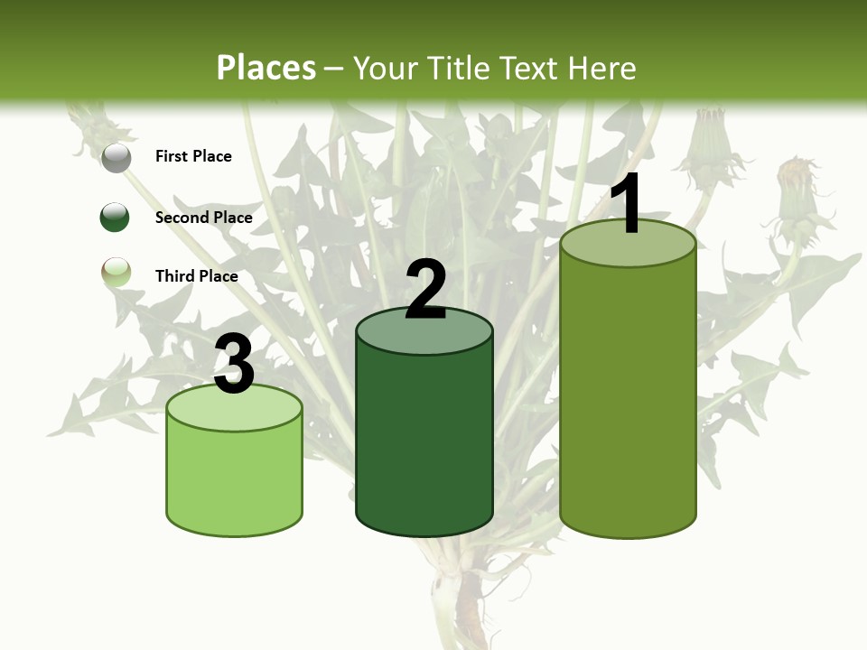 Leaf Root Vertical PowerPoint Template