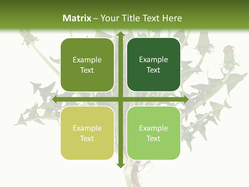 Leaf Root Vertical PowerPoint Template