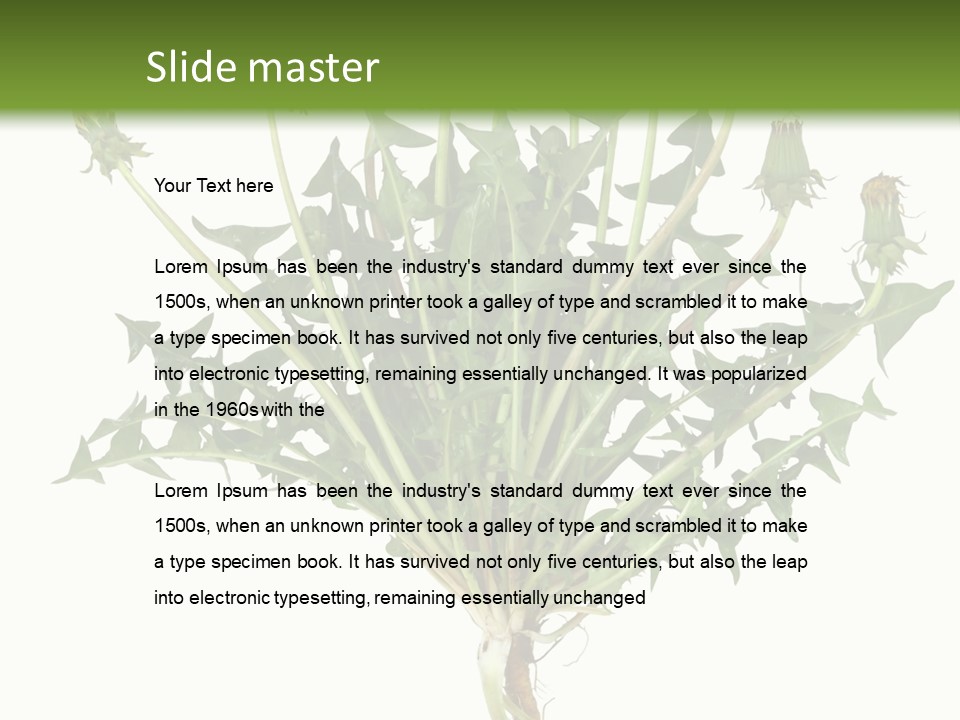 Leaf Root Vertical PowerPoint Template