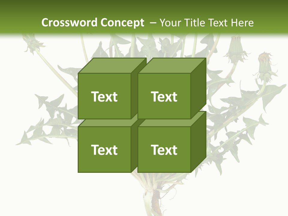 Leaf Root Vertical PowerPoint Template