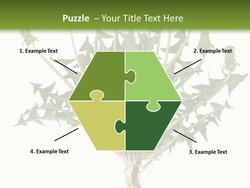 Leaf Root Vertical PowerPoint Template