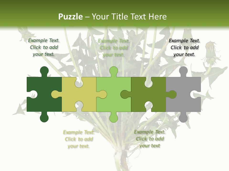 Leaf Root Vertical PowerPoint Template