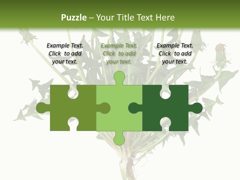 Leaf Root Vertical PowerPoint Template