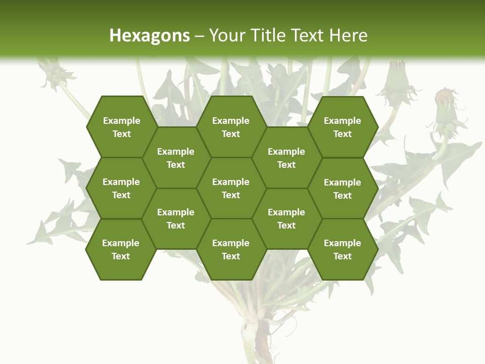 Leaf Root Vertical PowerPoint Template