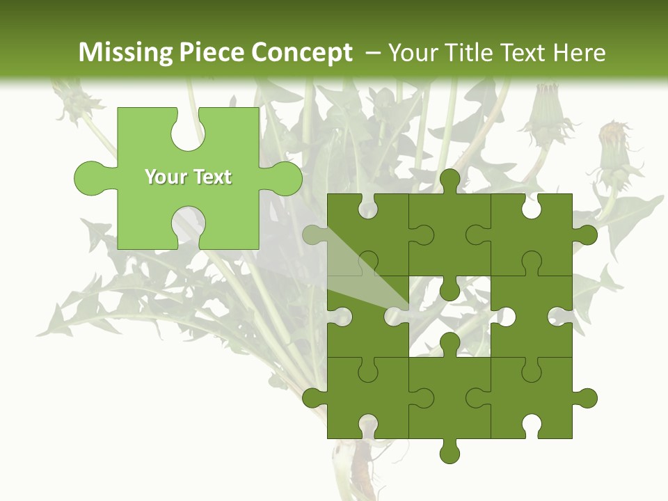 Leaf Root Vertical PowerPoint Template