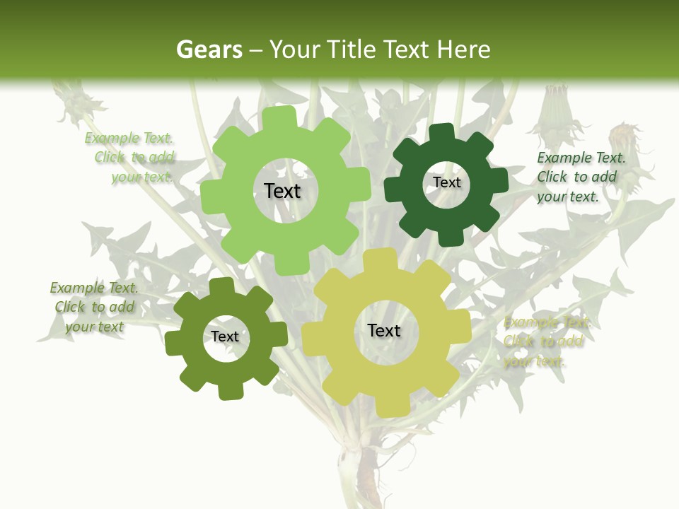 Leaf Root Vertical PowerPoint Template