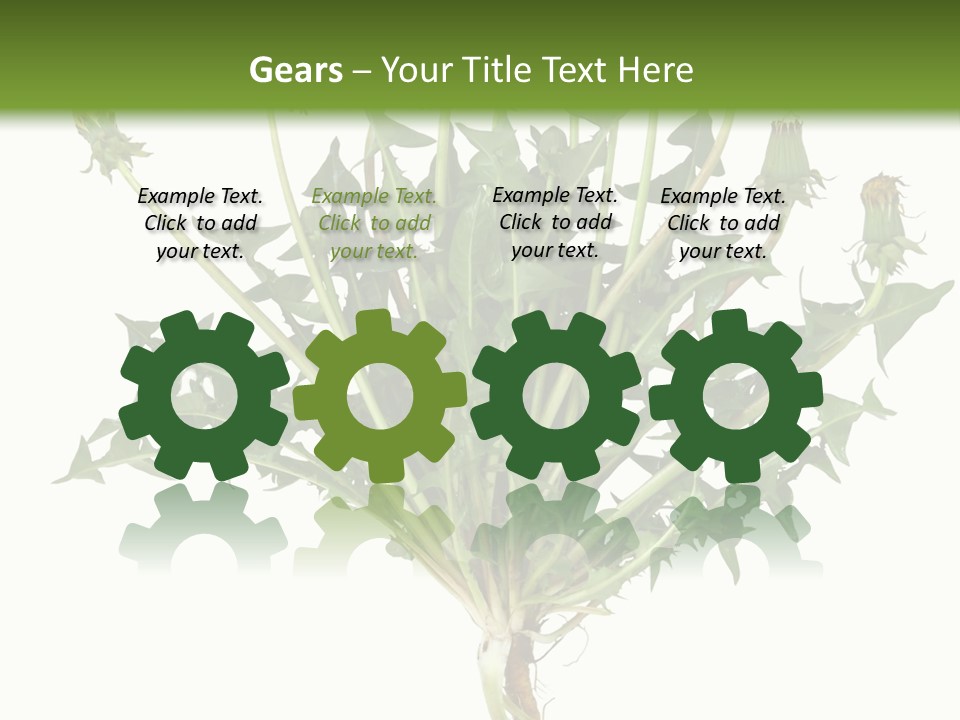 Leaf Root Vertical PowerPoint Template