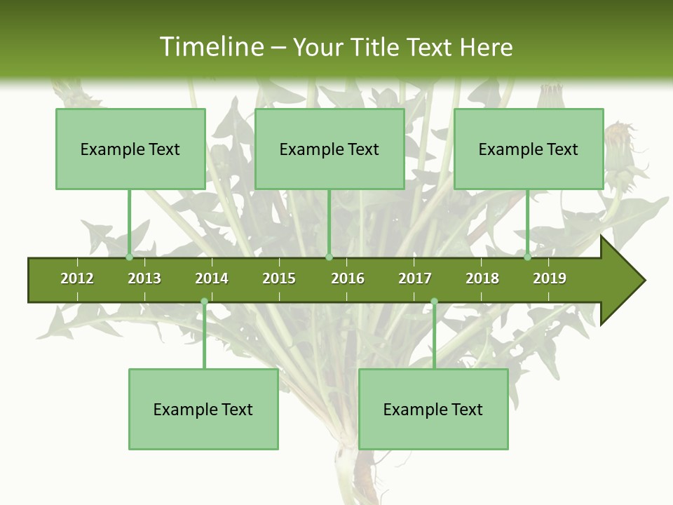 Leaf Root Vertical PowerPoint Template