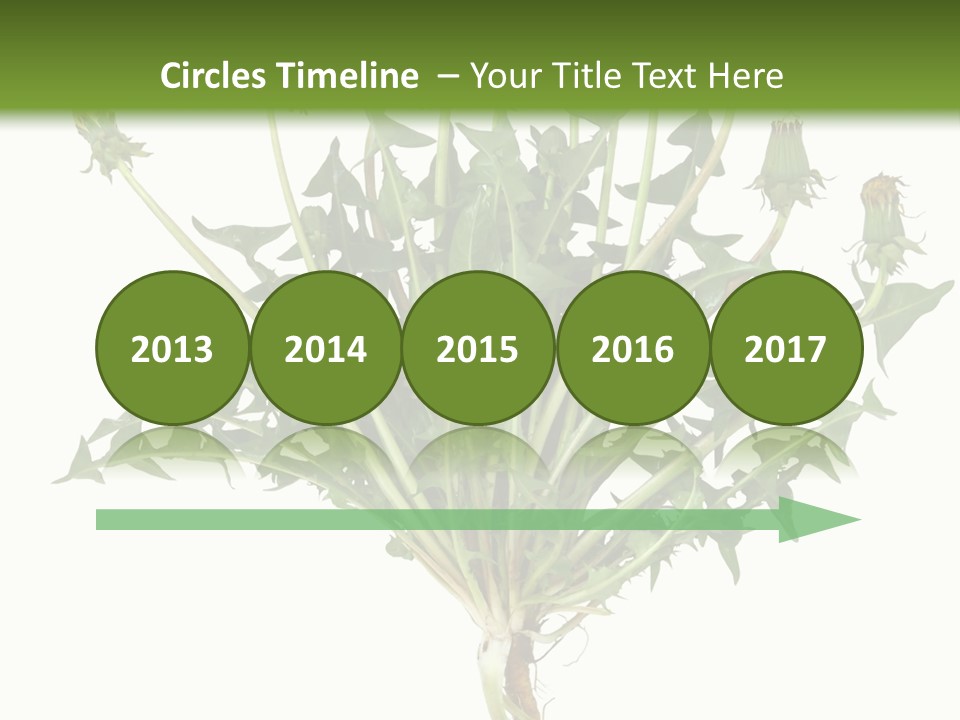 Leaf Root Vertical PowerPoint Template