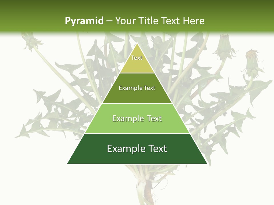Leaf Root Vertical PowerPoint Template