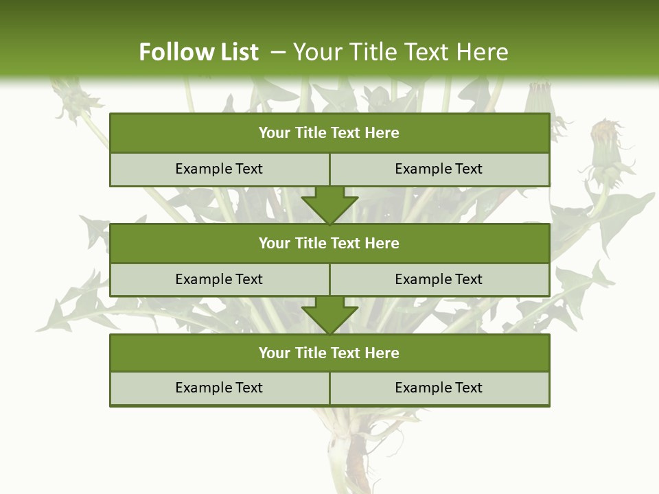 Leaf Root Vertical PowerPoint Template