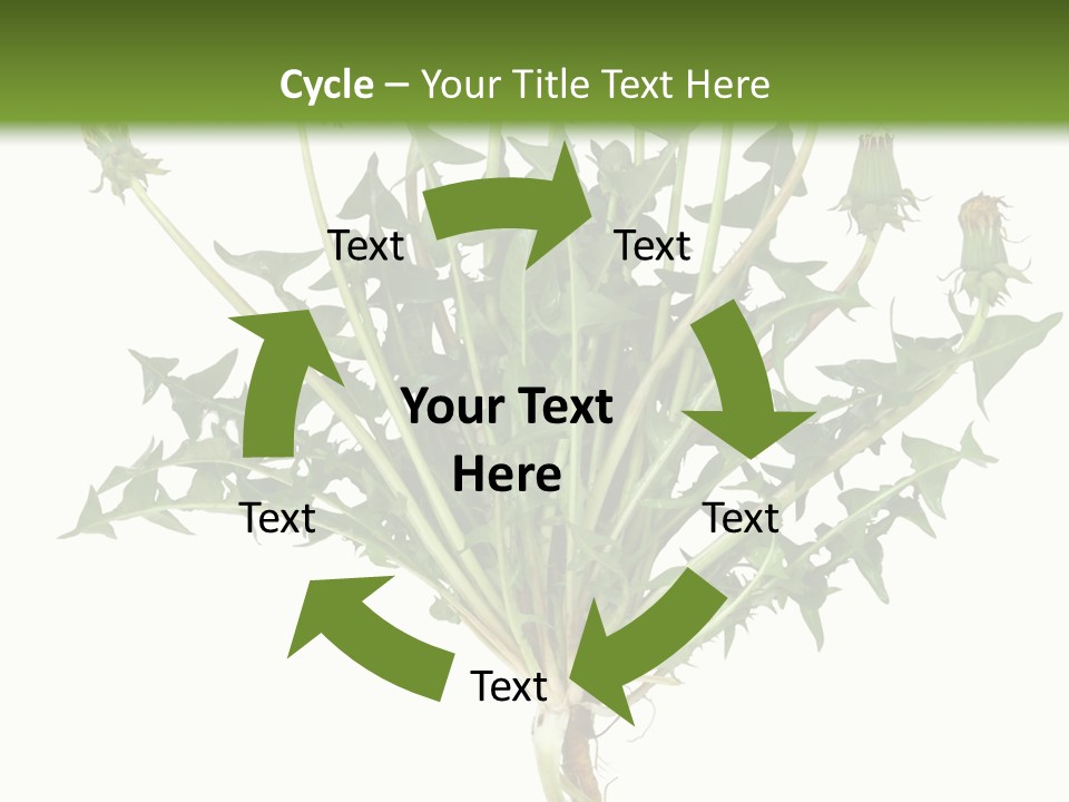 Leaf Root Vertical PowerPoint Template