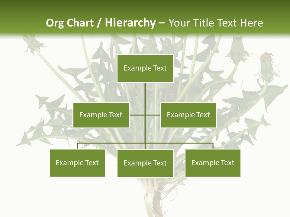 Leaf Root Vertical PowerPoint Template